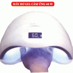1 3274.gif
