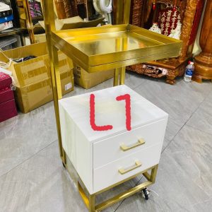 tu l1 9925.jpg